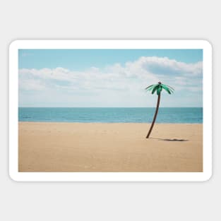 Palm tree on the beach Magnet